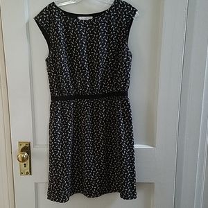 Dress- Business casual